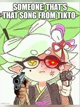 Splatoon memes while Fly Octo Fly plays.