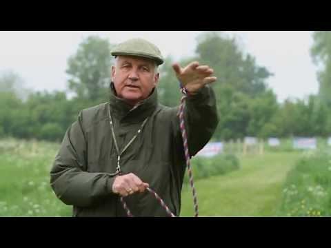 Shooting Times & Skinners: Gundog training part 1