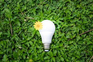 Lighting the Way Sustainably: Eco-Friendly Lighting (Guide)