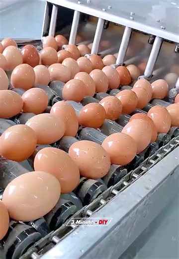 37K views · 351 reactions | DIY. #111 (HH) | 3 Minute - DIY | Facebook