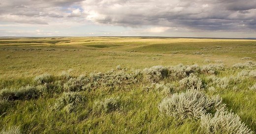 WWF's work in the Great Plains