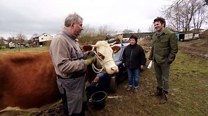 Wenn Anja und Bruno von Bauer sucht Frau mit ihrer besten Kuh bei der Auflösung helfen, dann muss es sich um einen ganz besonderen Fall handeln. Die Versicherungsdetektive - heute um 19.05 Uhr. | RTL