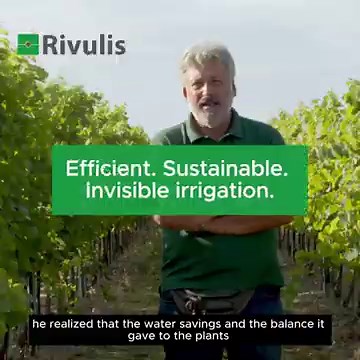 How Rivulis D5000 AS Dripline Helps Vineyards Achieve Precision, Efficiency & Sustainable Growth
