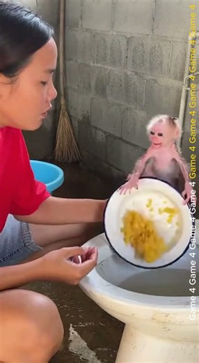 Creepy Drop inside the Toilet Cry so Hard