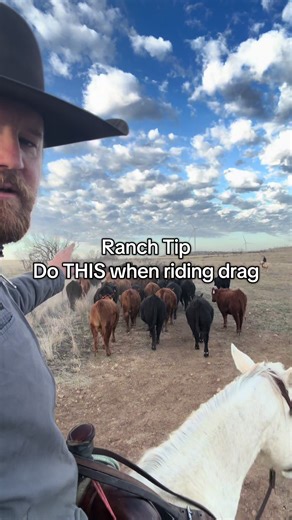 Ranch tip! Drag is the position in the drag when a person is directly begin the herd. Sometimes you do have to push, but most of the time, you need some patience.