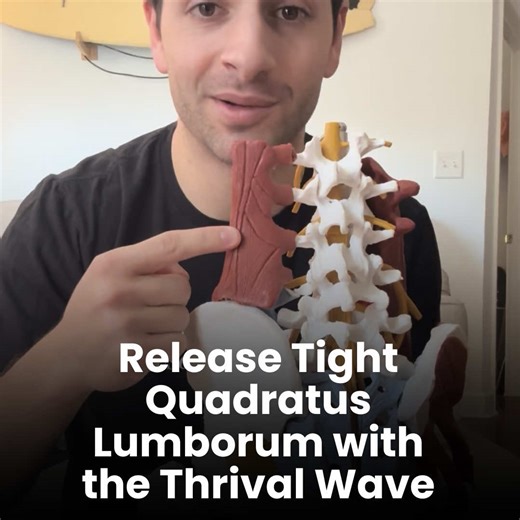 One-sided low back tightness? That deep ache above your hip? It’s probably your QL, and stretching won’t fix it. Here is the solution!! #LowBackPain #QLRelease #Mobility #DeepTissue #ThrivalWave