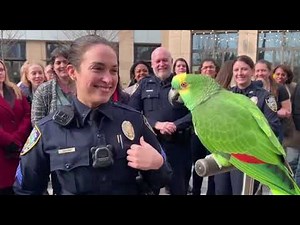 Savage Talking Parrot Roasts Lady Cop 😭🦜 Funniest Police Encounter Ever