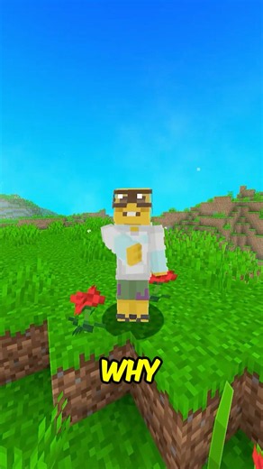 People-Watching: Are They X-Raying? PT 29 #minecraft