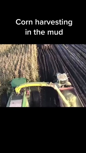Harvesting corn in the mud #machine #cornharvest #mud #mudding #tractorsinmud #bigmachines #machinery #machines #massive #machineryequipment #tractor