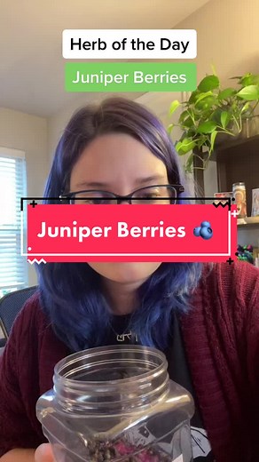 Exploring the Uses and Meanings of Juniper Berries