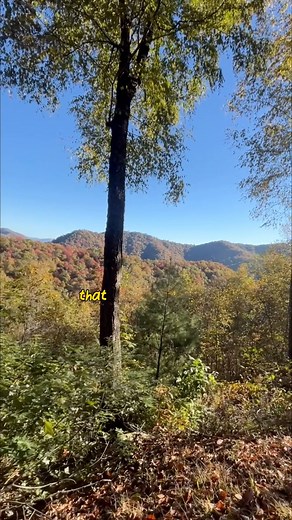 42K views · 1K reactions | This campsite in Robbinsville is almost...