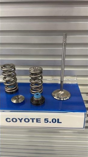 Ford Coyote 5.0L Gen 3 🔥 KT4044 valve spring kit + Competition Plus valves. Valves sold separately.