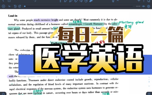 每日一篇医学英语｜内分泌系统endocrine system（1）