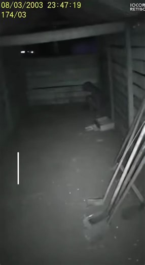 Strange UFO Footage from Varginha, Brazil