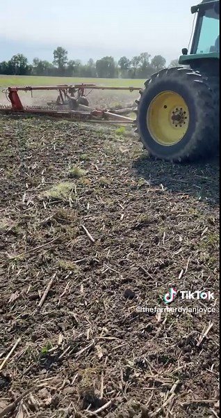 Phoenix Harrow for Ground Aeration | Spring Farming Equipment