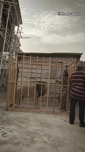 1.3M views · 42K reactions | the time travel Part 6 | Cuzee comedy | Facebook