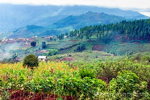 Stream East Of Java online in english with english subtitles in 1080p 16:9