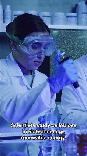 What is Cellobiose? - One Minute Info