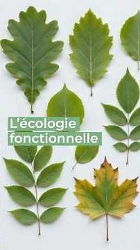 L'écologie fonctionnelle - Sandra Lavorel