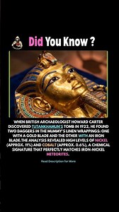 When British archaeologist Howard Carter discovered Tutankhamun's tomb in 1922😱😱 #facts #factsdaily