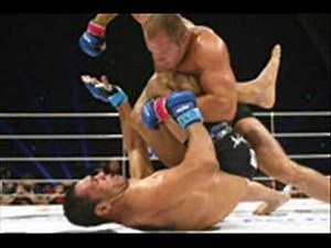 Pride FC Theme (with pics)