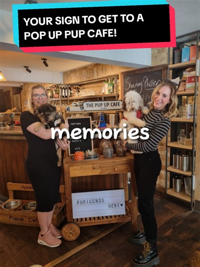 Exploring a Pop-Up Pup Café in Bristol