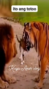 Kuya Amer Vlog on Reels