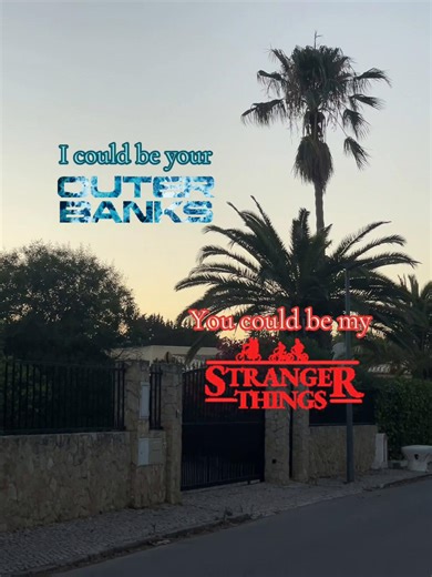 Exploring Twin Dynamics in Popular Series