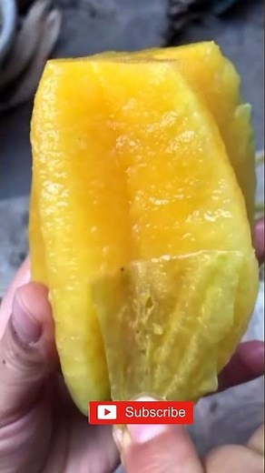 #shorts Starfruit(Carambola) // summer season fruits// village diary // #shortsvideo #youtubeshorts
