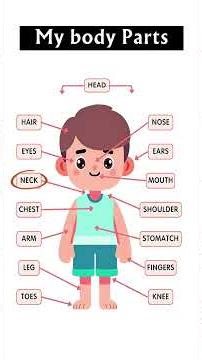 My Body Parts in English 🧠 | Learn English Vocabulary for Beginners #shorts #english