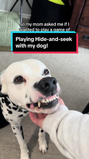 Fun Indoor Activities to Keep Your Dog Busy in Cold Weather!