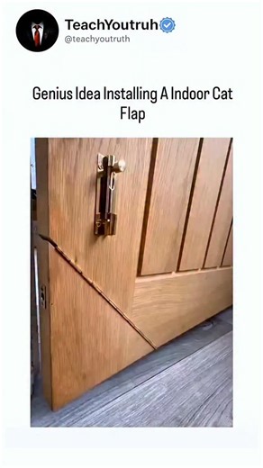 teachyoutruth on Instagram: "The video demonstrates a DIY method for cutting and hinging a flap at the bottom of an interior door to create an indoor cat access point, using basic tools like a jigsaw and hinges for a seamless integration. Posted on December 10, 2025, by Indonesian content creator @rejekianakbaik , it quickly amassed over 3,400 likes and 289,000 views, reflecting widespread interest in affordable pet-friendly home modifications. User feedback mixes enthusiasm for the clever, low-