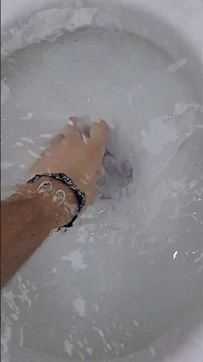 Powerful High Tank Toilet Overflow!