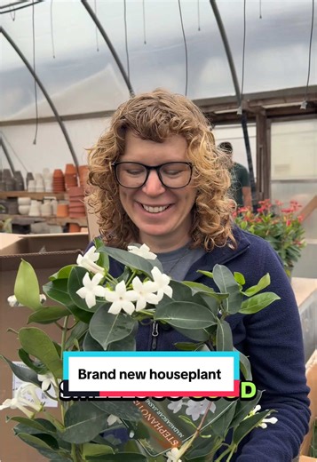 Fresh Houseplants Just Arrived! Our plant tables are looking extra happy today with a beautiful new shipment of houseplants! From elegant stephanotis hoops to blooming bulbs, cheerful shamrock plants, unique Tillandsia cyanea, and so much more, there’s something new around every corner. Our Weekend Cheer Special you don’t want to miss: Our adorable Springy Bulb Planters are the perfect little pick-me-up! 🌷 Buy 2 for $32 or $18.99 each (regular price) They’re perfect for gifting or adding a fres