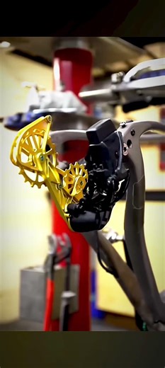 Cycle ASMR Training 🚴‍♂️ | MTB Ride Sound, Freehub & Pedal Sound | Satisfying Bike Sounds