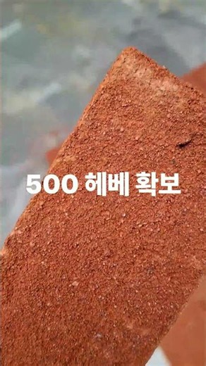 브릭랜드 - 리라레드 점토타일 가격다운 프로모션 #점토타일 #벽돌타일 #파벽돌