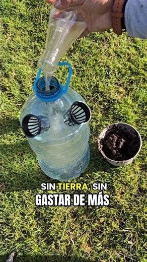 Growing plants in water today, soil-free and on a budget.🌱💧