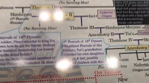 King Tut's Inbred Family Tree Poster 24 X 18- Version 2 by Mortal Faces - Etsy