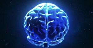 10 Social And Biological Experiments With Freaky Results