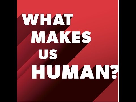 What Makes Us Human! Dive Deep with Comrad Studios!