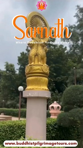 🌟 Immerse yourself in the soul-stirring aura of Sarnath, a sanctuary of Buddhist heritage! 🏯 Traverse the serene paths of ancient temples, absorb the tranquility of the surroundings, and unravel the threads of a rich cultural tapestry. 🧘‍♂️ Trace the footsteps of Buddha's inaugural sermon, navigating the path to enlightenment. Your spiritual odyssey awaits—plan your visit now and let the timeless vibes of Sarnath guide you! 🚗 ◇ ◆ For Booking’s👇 👉 🌐 Visit us: www.buddhistpilgrimagetours.co