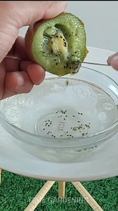 Grow kiwi 🥝 from seeds #kiwi #kiwiplant #kiwiplantation #growyourownplants | True Gardening