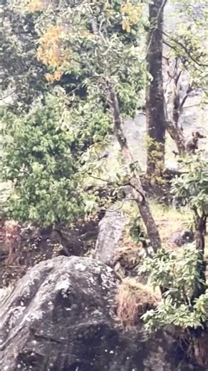 #Kya Cheez Hai, command box me Likhna????❤️👏👏👏