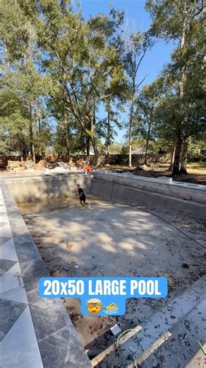 20x50 Large Pool🤯🏊‍♂️#custom #construction #regalpoolshouston #yt #outdoors #pool #backyard