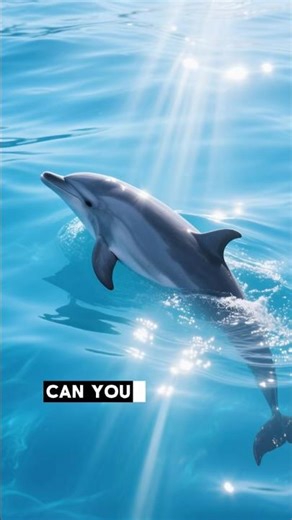 This Dolphin Can “See” Without Eyes… How?! 🐬 #shorts