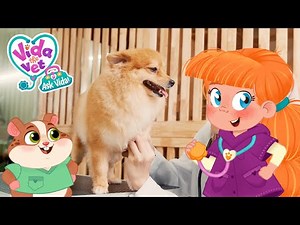Inside Vida's Vet Bag: Stethoscope 🩺 Ask Vida ⛑️ Full Episode 💖 Learn about Animals ✨ New Show