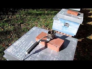 Apicoltura: sublimazione dell'acido ossalico, alcune cautele.