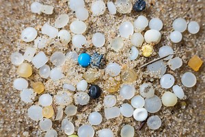 Explained: What are nurdles?