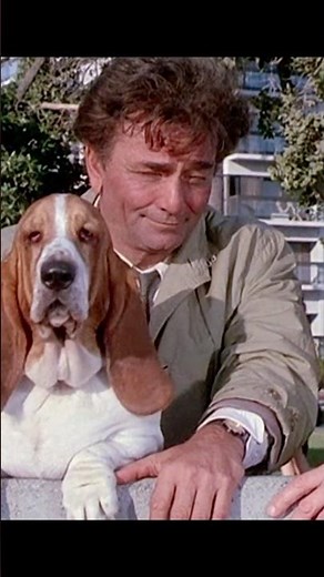The dog that starred with Peter Falk in the series "Columbo" has been replaced and here's why!