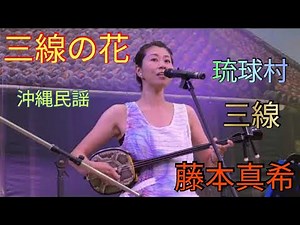 三線の花 藤本真希 三線 沖縄民謡 琉球村（沖縄県恩納村山田）